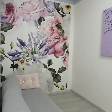 Daire Casa Pandora